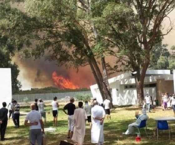 Maroc : la forêt diplomatique de Tanger ravagée par les flammes (Vidéo)