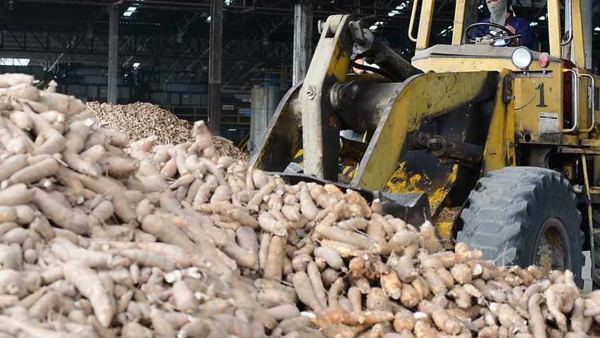 Ghana : début des travaux de l'usine de traitement du manioc de Keta