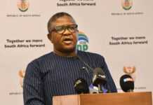 Mbalula refuse de se prononcer sur l’utilisation de l’avion SANDF pour Harare