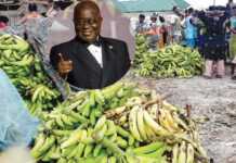 Ghana : les producteurs et exportateurs d’Agogo reconnaissants envers Akufo-Addo