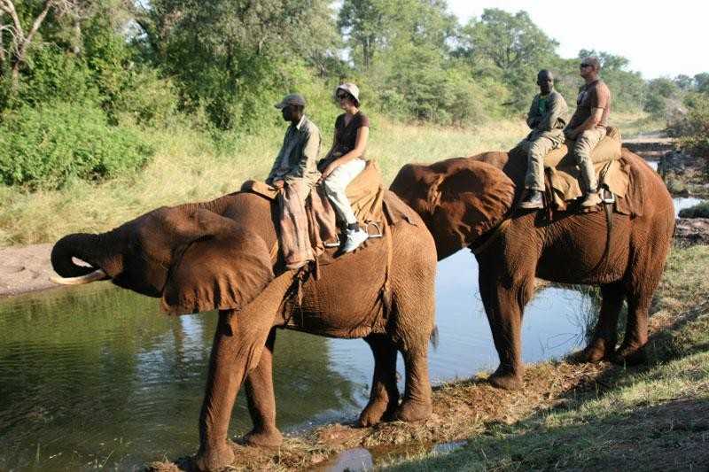 Zimbabwe : le gouvernement ouvre le secteur du tourisme