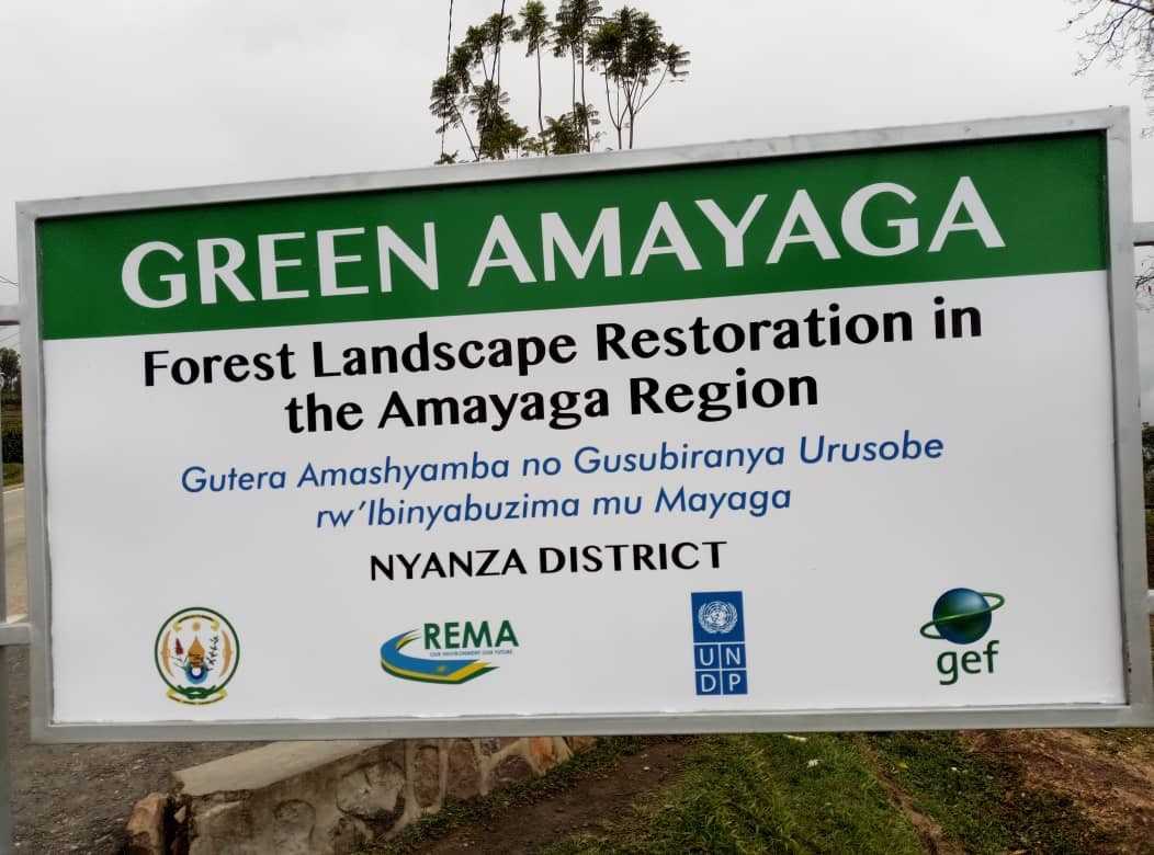 Rwanda : plus de 15 milliards pour réhabiliter les forêts d'Amayaga