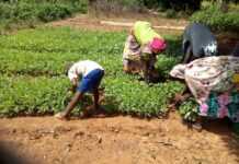 Burkina : 990 millions FCFA pour améliorer le quotidien des ruraux