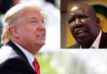 Julius Malema : « Trump est un pleurnichard »