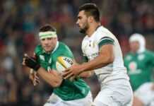 Rugby, Champions Cup : les Requins d’Afrique du Sud résistent au Stade Toulousain