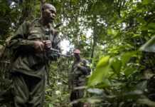 Gardes du parc de Virunga