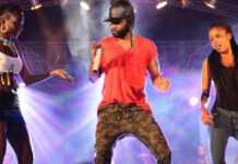 Fally Ipupa spectacle