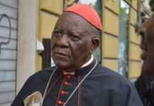 Cardinal Tumi