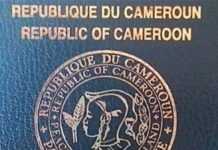 Passeport camerounais