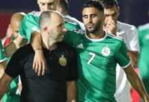 Belmadi et Mahrez