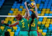 Cameroun (Volley)