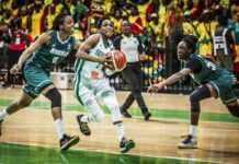 Nigeria vs Sénégal (Afrobasket)