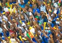 Supporters au Cameroun