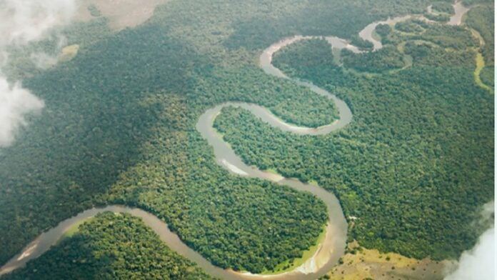 Bassin du Congo