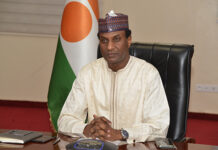 Ali Mahamane Lamine Zeine, Premier ministre du Niger