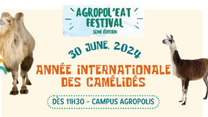 Agropol Festival 2024