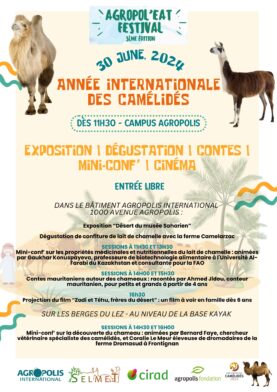 Année internationale des camlélidés_Agropol'eat 30 juin 2024 (1)