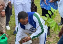 Denis Sassou N'Guesso plantant un arbre