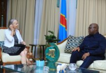 Lucy Tamlyn reçue en audience par le Président Félix Tshisekedi