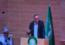 Mohamed Zoghlami souligne l’importance pour les jeunes Africains de s’approprier leur Histoire