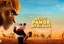 Petit-Panda-en-Afrique