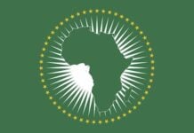 Réunion au Cameroun du Conseil de Paix et de Sécurité de l’Union Africaine