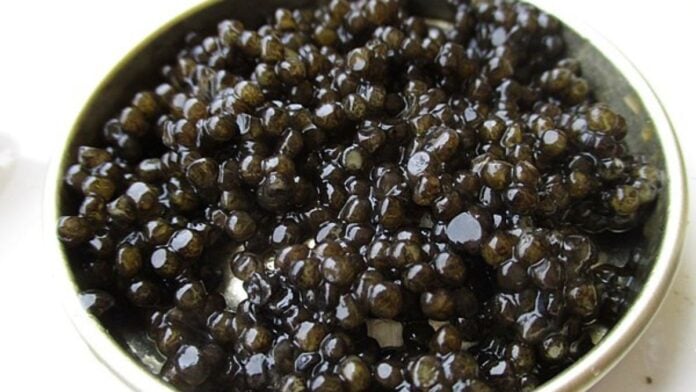 Caviar malgache