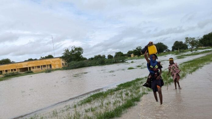 Inondations au Cameroun @NRC