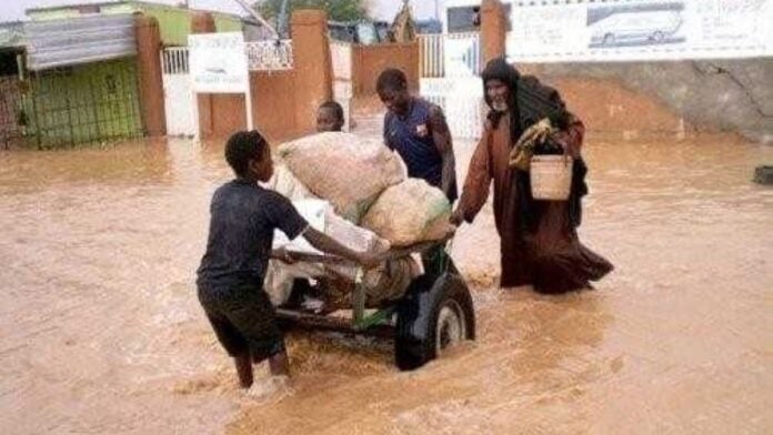 Inondations au Niger