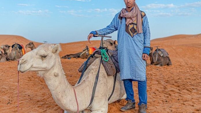 Costume traditionnel et chameau dans le désert marocain