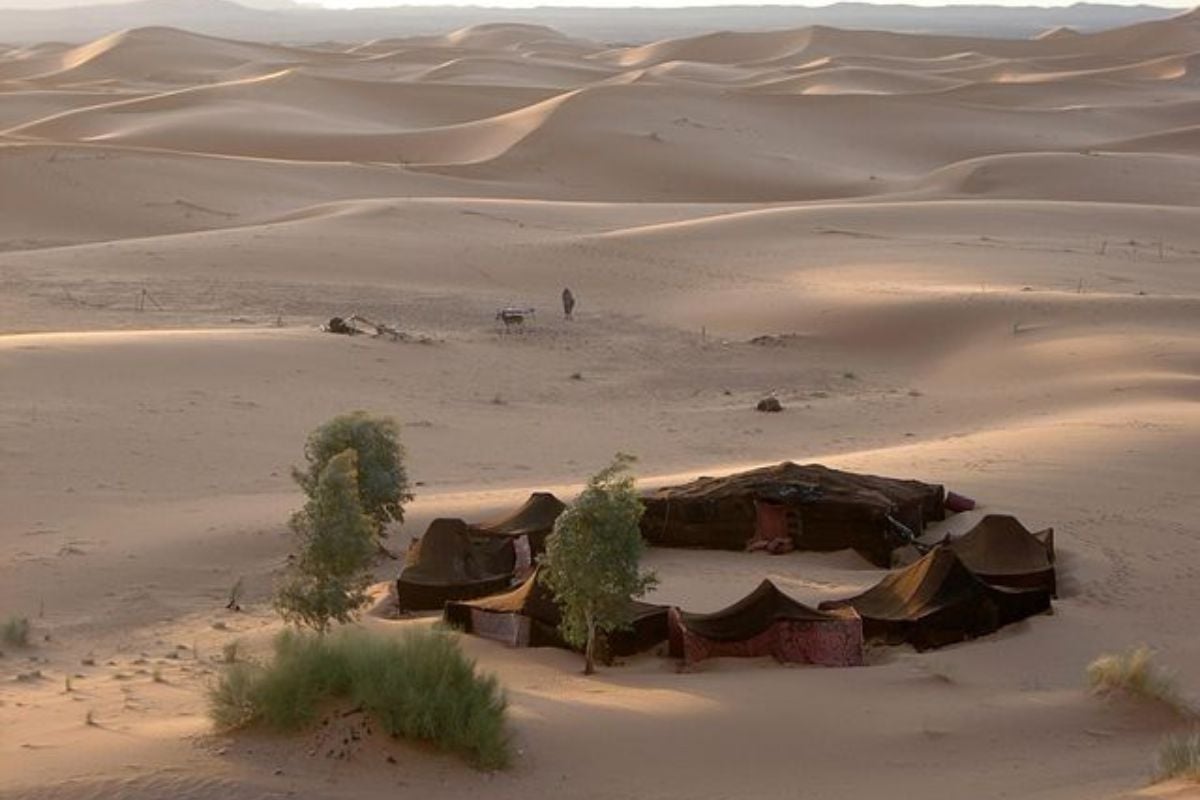 Oasis dans le désert du Sahara au sud du village de Mhamid El Ghizlane, Maroc.