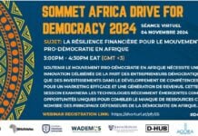 Sommet Africa démocratie