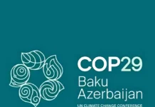 COP29 : un accord sur le climat qui laisse un goût amer à l’Afrique