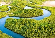 Les îles du Saloum