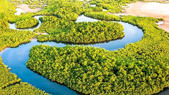 Les îles du Saloum