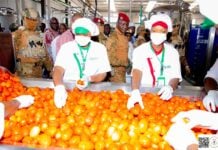 Inauguration de l'usine de transformation de tomates de Bobo-Dioulasso