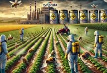 Pesticide Syngenta Maroc