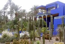 Jardin Majorelle