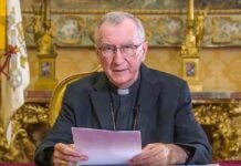 cardinal Pietro Parolin - Credit Vatican News